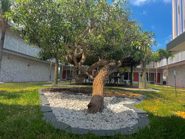 Garden Inn of Homestead image 5